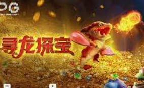 pg入口电脑免费版